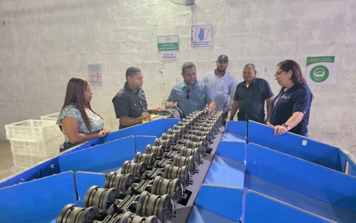 República Dominicana exporta aguacate Hass orgánico a Europa y Estados Unidos